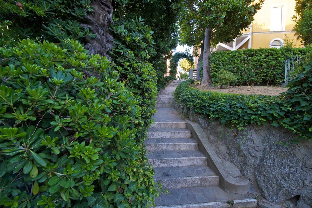 Hotel Torretta カットーリカ エクステリア 写真